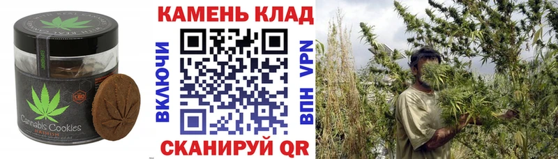 Canna-Cookies конопля  ссылка на мегу онион  Гатчина 