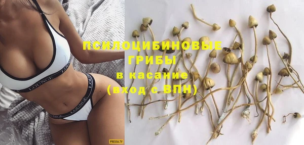 хмурый Балабаново