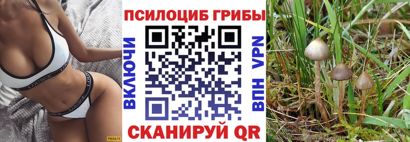 мега маркетплейс  Гатчина  Галлюциногенные грибы Psilocybine cubensis 