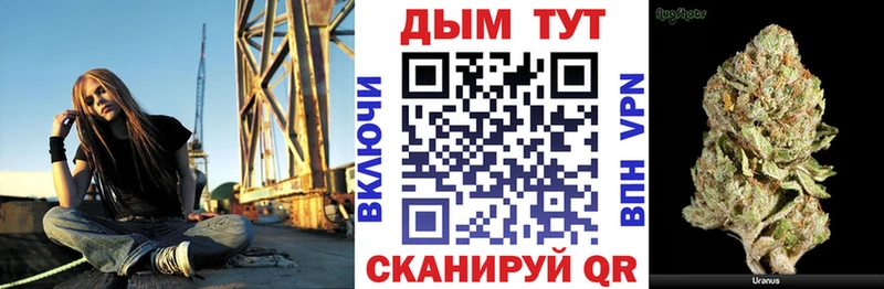 Марихуана план  Гатчина 